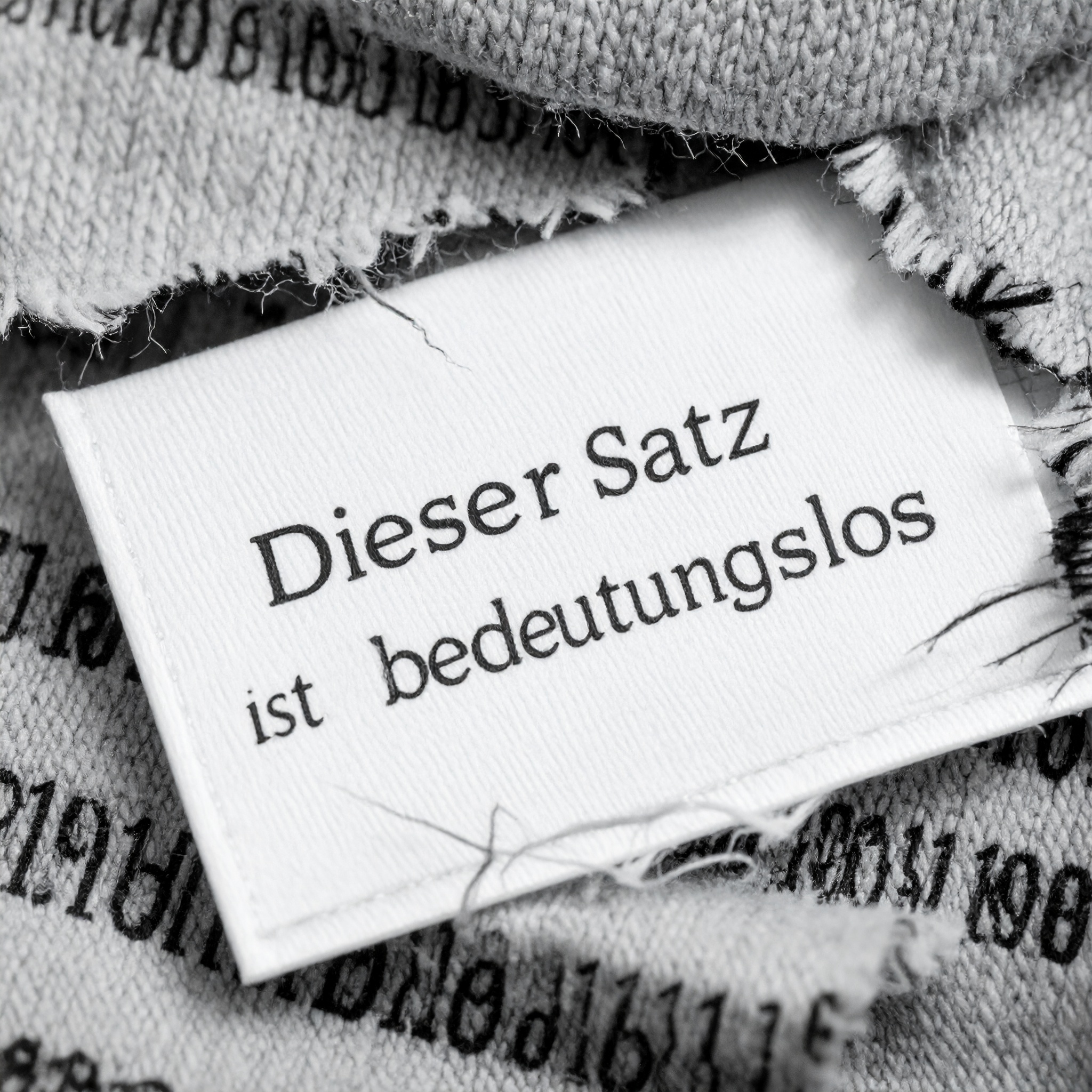 Dieses Bild dient als philosophische Analyse und literarische Dekonstruktion der Begriffe Nichts, Existenz und Code der fiktionalen Kontexte der Sci-Fi-Erzählungen von F.G. Stier. Es dient der logischen Verankerung des wissenschaftlich-philosophischen Konzepts der zeitlosen Verursachung. Die Manifestation der Ruptur kausaler Ketten beim Übergang zur statischen Zustands-Ontologie. Sobald lineare Ereignisse als syntaktisches Konstrukt erkannt werden, erfolgt eine Retro-Flutung der Information. Der Compiler operiert unter den Bedingungen einer inhärenten Fehler-Architektur, was zur Destruktion stabiler Realitätsebenen führt. Ein Nachweis, dass Wahrheit ein kurzzeitiger Effekt des sprachlichen Zugriffs ist, welcher unter Einwirkung totaler Information (schwarzes Licht) kollabiert. Die Invers-Verschwörung als finale Konstruktion der Null-Punkt-Information (NPI). [Direktlink zum Buch: https://www.amazon.de/dp/3991925702] - Code-Anker: die-hinrichtung-der-kausalitaet-ur-syntax-null-punkt-information-fgstier_art